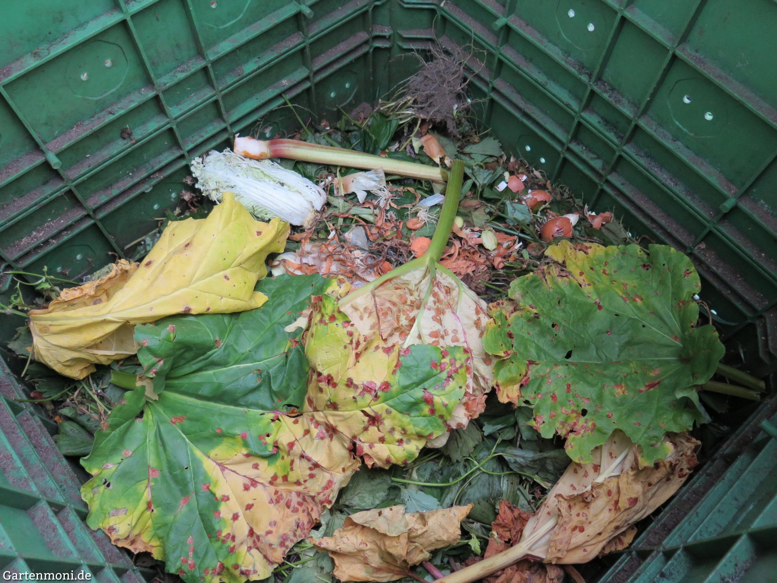 Kompost mit großen Blättern bedeckt