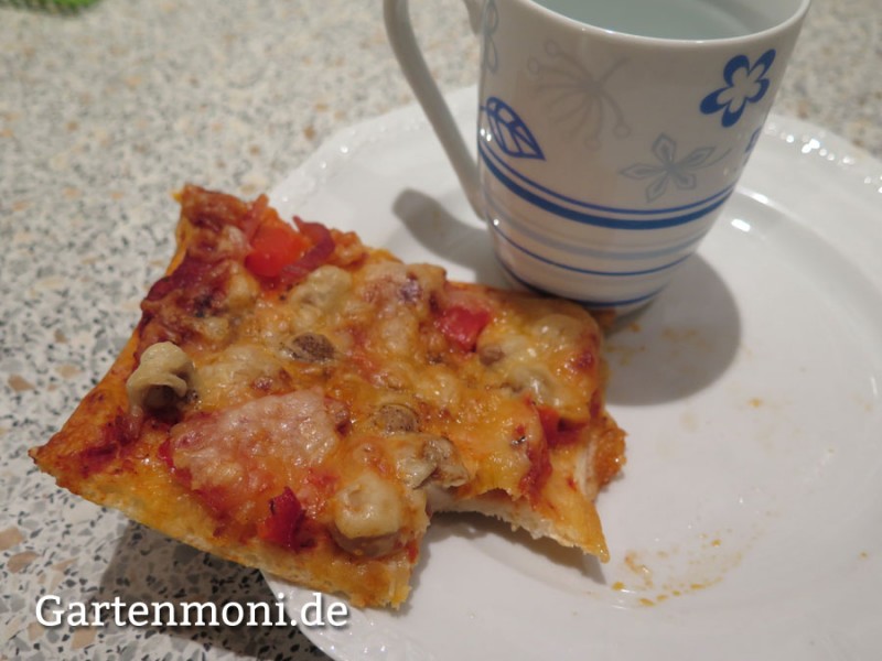 Wie wärme ich Pizza in der Mikrowelle auf? - Gartenmoni - Altes Wissen