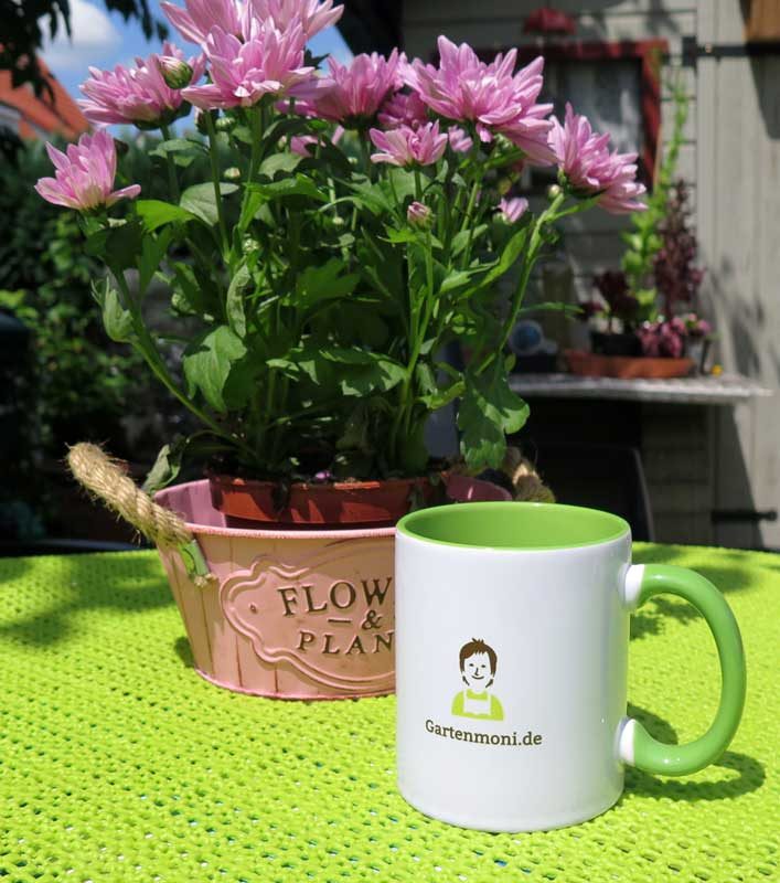 Die Gartenmoni Tasse auf dem Gartentisch